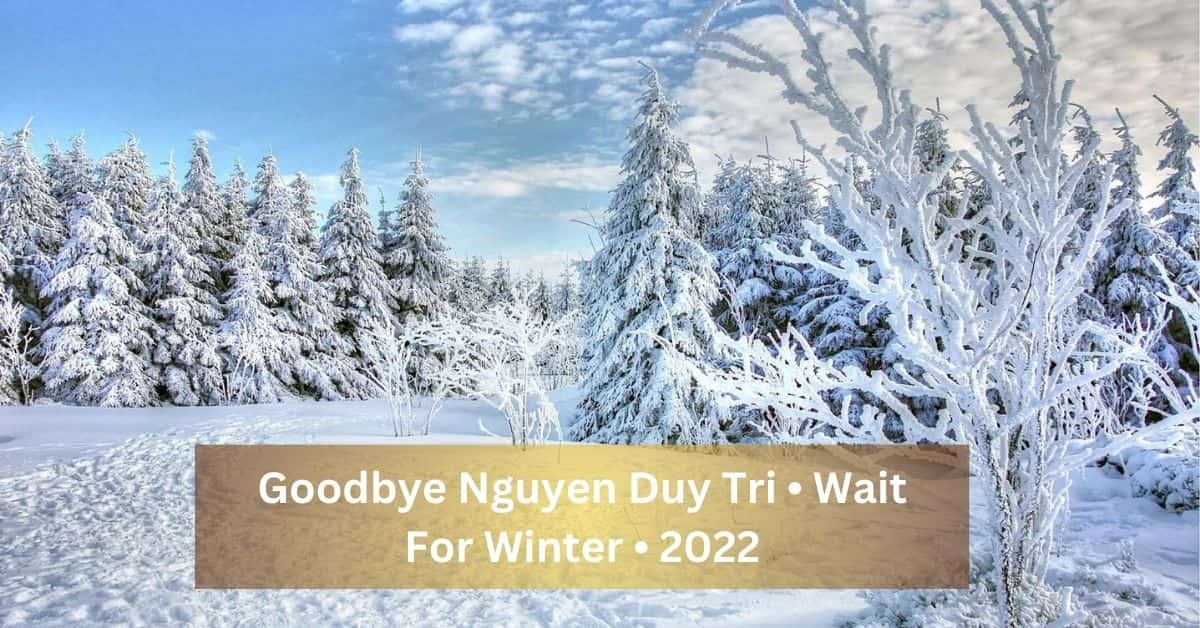 Goodbye Nguyen Duy Tri • Wait For Winter • 2022