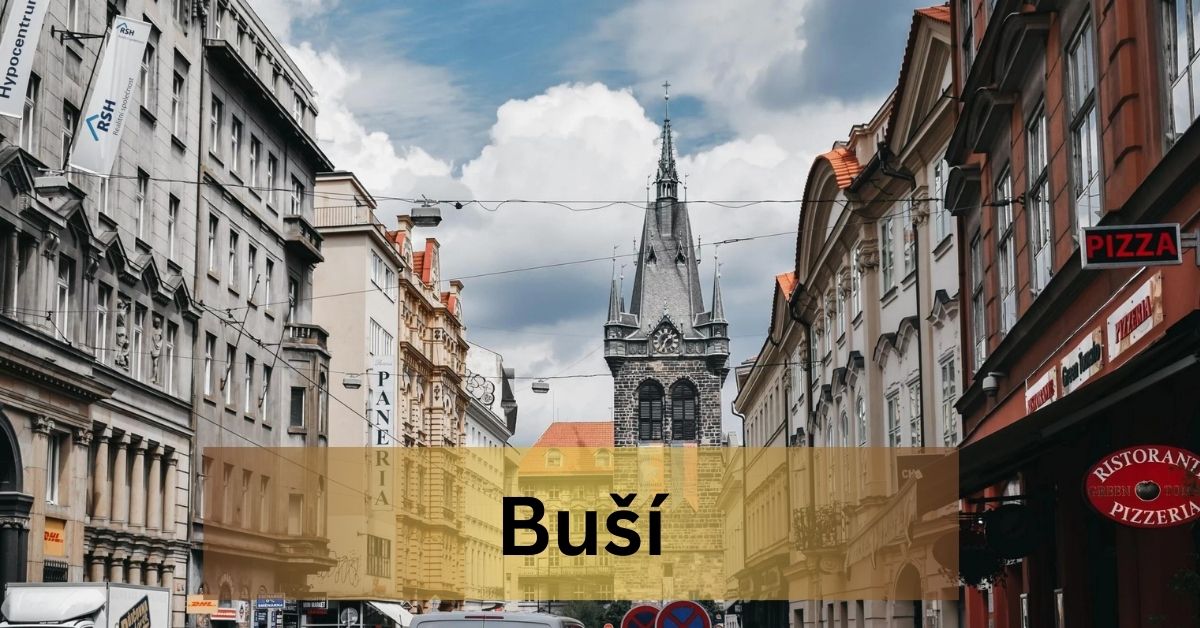 Discover the Magic of Buší – Your Ultimate Guide