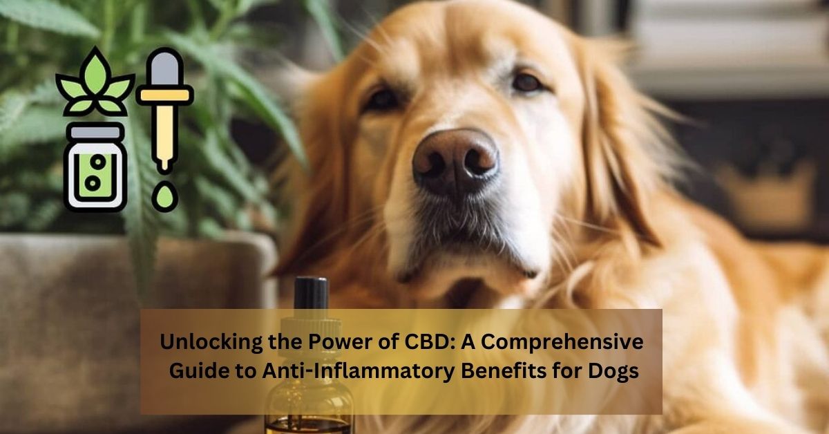 Unlocking the Power of CBD A Comprehensive Guide to Anti-Inflammatory Benefits for Dogs