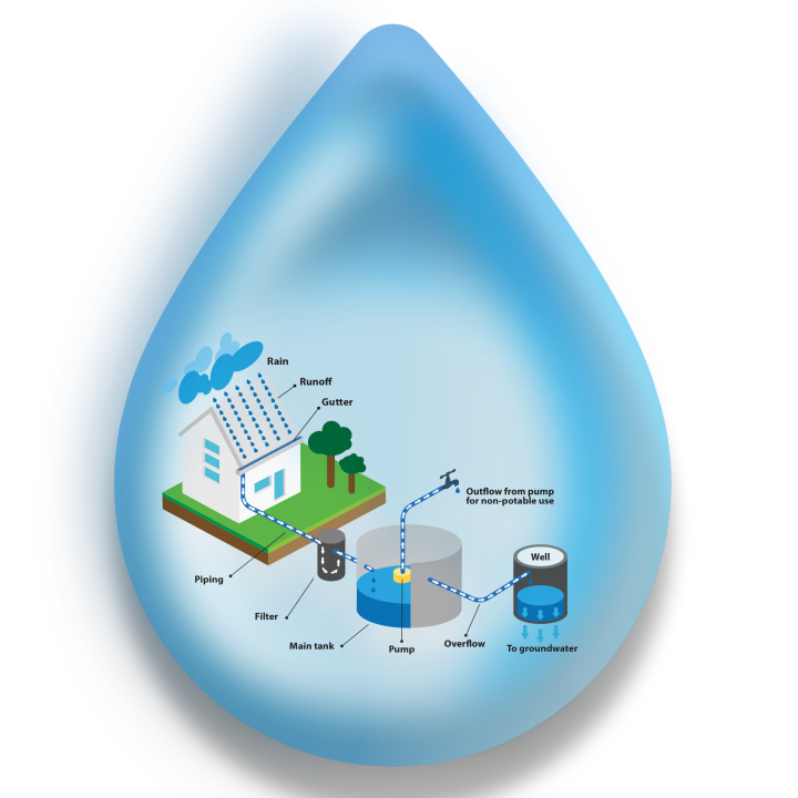 Rainwater Harvesting and Sustainable Practices: