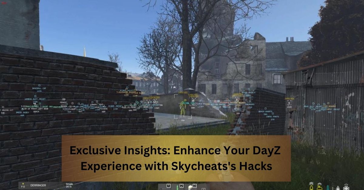 Exclusive Insights Enhance Your DayZ Experience with Skycheats's Hacks