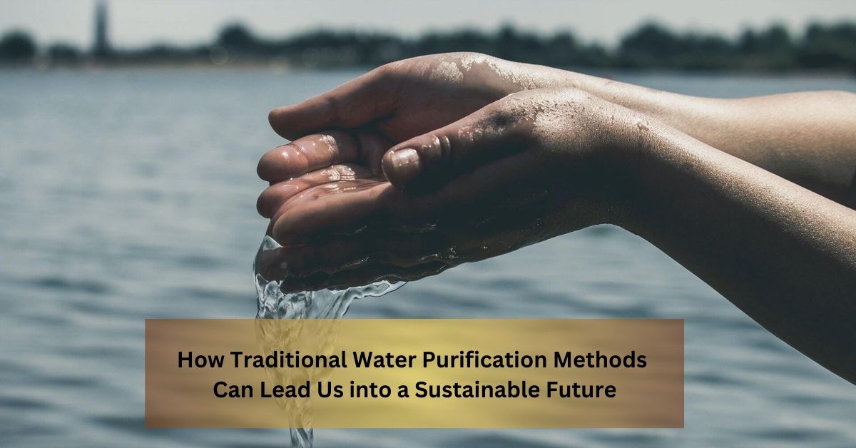 How Traditional Water Purification Methods Can Lead Us into a Sustainable Future