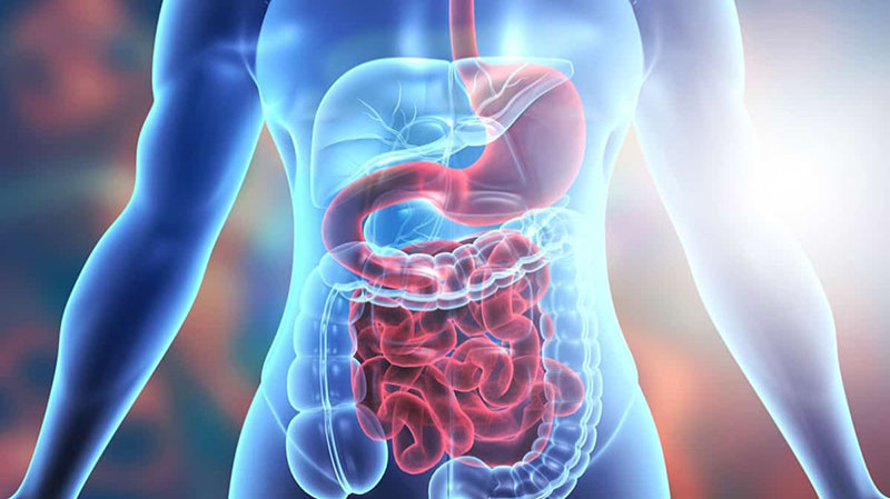 Common Digestive Issues and How They Affect Overall Health