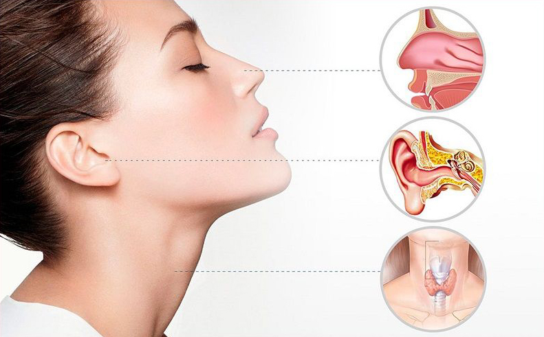 The Scope of Otolaryngology in Treating Head and Neck Conditions